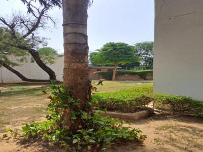 3 BHK Farm House 1 Acre for Sale in Manesar Gurgaon-3