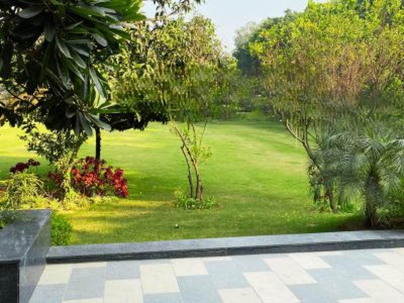 5 Bedroom Farm house 9680 sq yds in Chattarpur, South Delhi-13