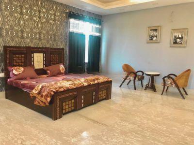 6 Bedroom Farm house 14036 sq yds in Bijwasan, Delhi South-4