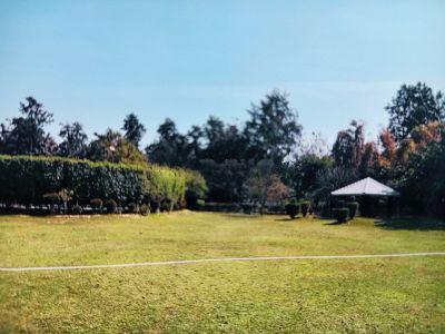 5 Bedroom Farm house 4840 sq yds in Dera Mandi, South Delhi