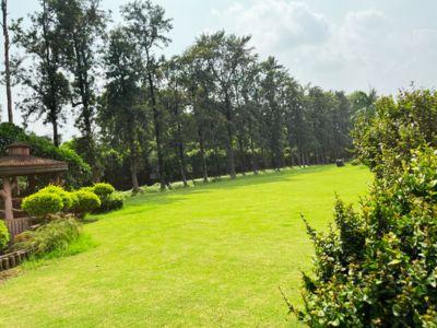 4 Bedroom Farm house 12826 sq yds in Chattarpur, South Delhi