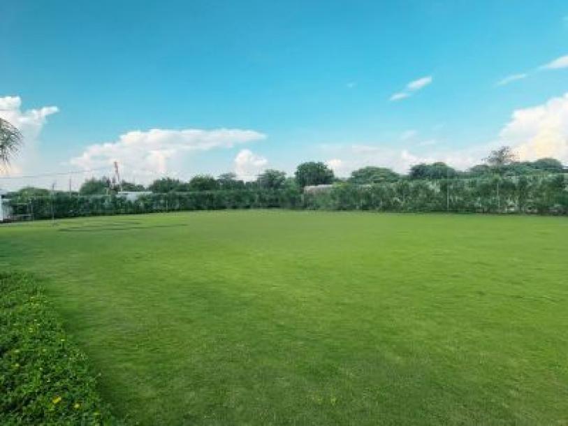 6 Bedroom Farm house 1600 sq yds in Chattarpur, South Delhi-2