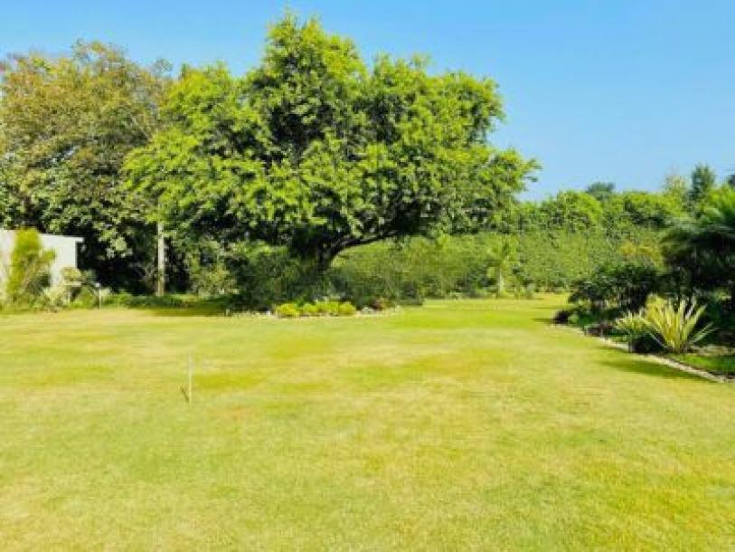 5 Bedroom Farm house 1600 sq yds in Chattarpur, South Delhi-7
