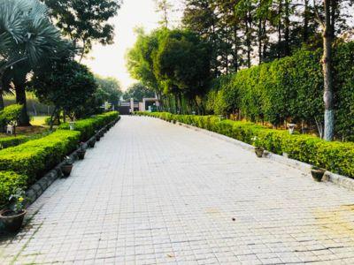 5 Bedroom Farm house 4840 sq yds in Ansal Satbari, South Delhi