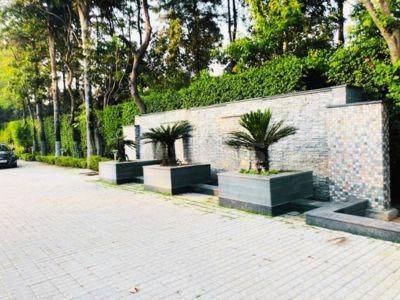 7 Bedroom Farm house 12100 sq yds in Ansal Satbari, South Delhi