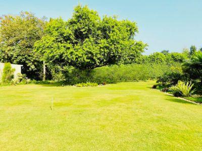 5 Bedroom Farm house 12500 sq yds in Chattarpur, South Delhi