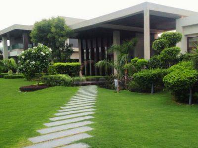 5 Bedroom Farm house 2400 sq yds in Chattarpur, South Delhi